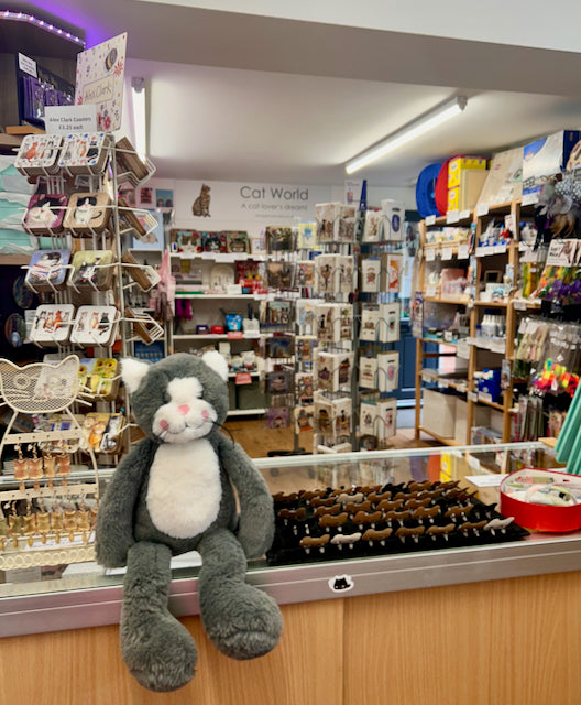 The Cat World Story: From Small Beginnings to a Thriving Shop and Online Destination for Cat Lovers