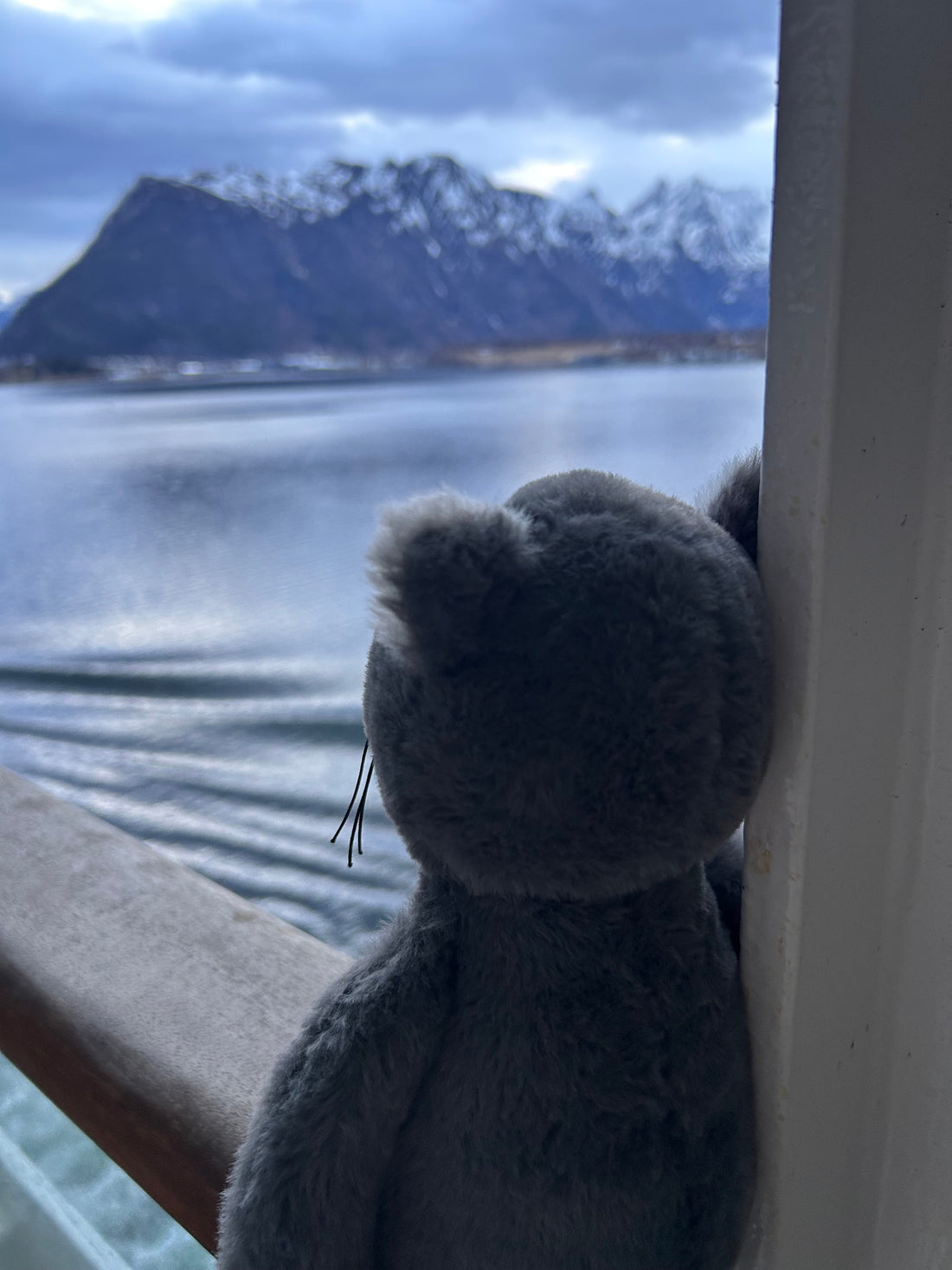 Klaus’s Adventures in … Åndalsnes! 😻