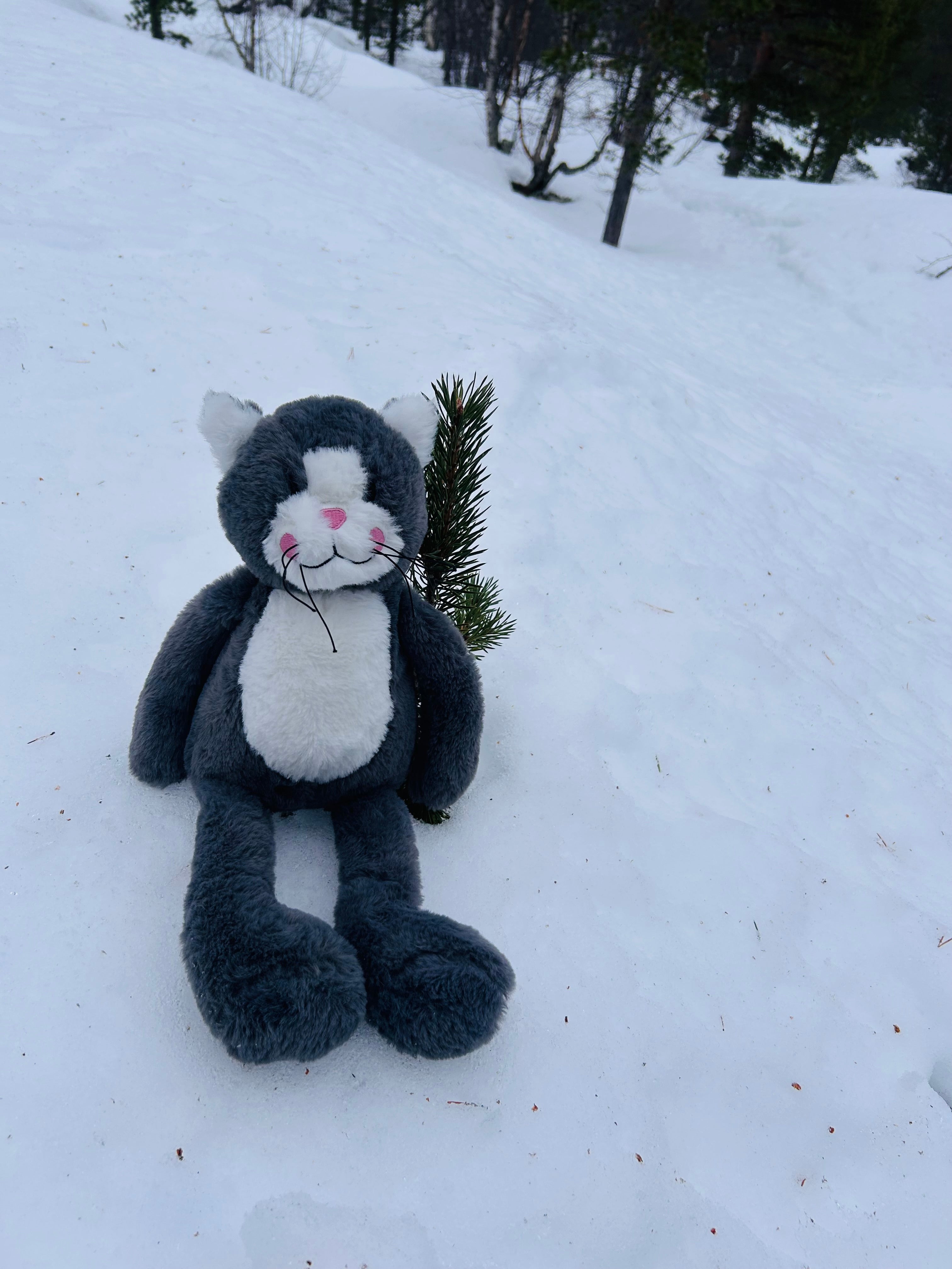 Klaus’s Adventures in … Alta!