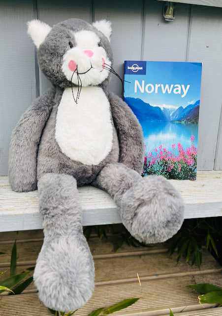 Klaus the Cat Prepares for his Norwegian Cruise!