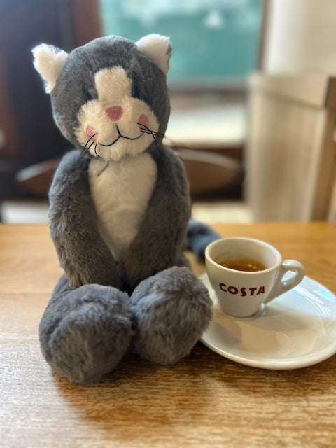 Klaus the Cat Explores Shrewsbury