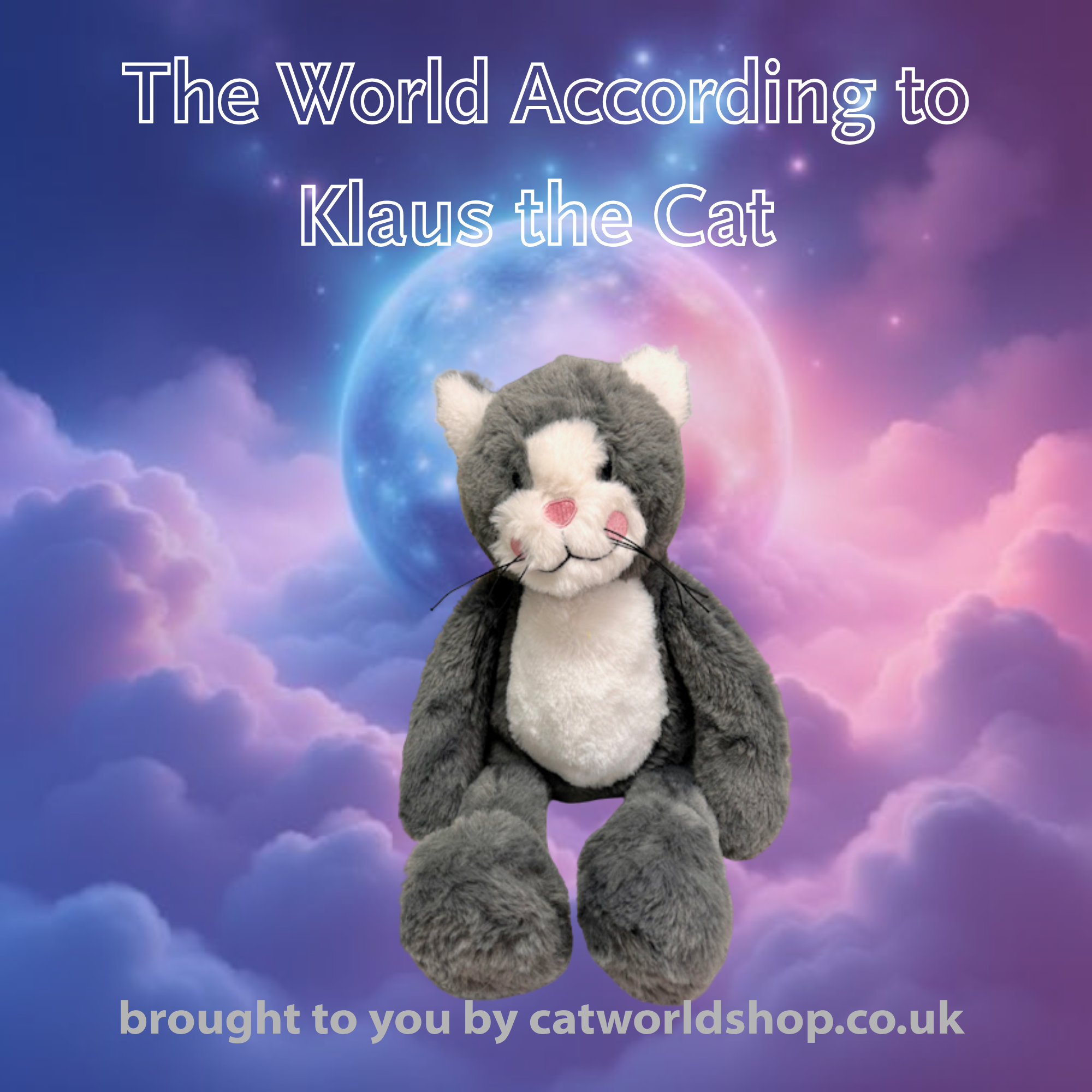 The world according to Klaus the cat, cat blog star for all things feline 