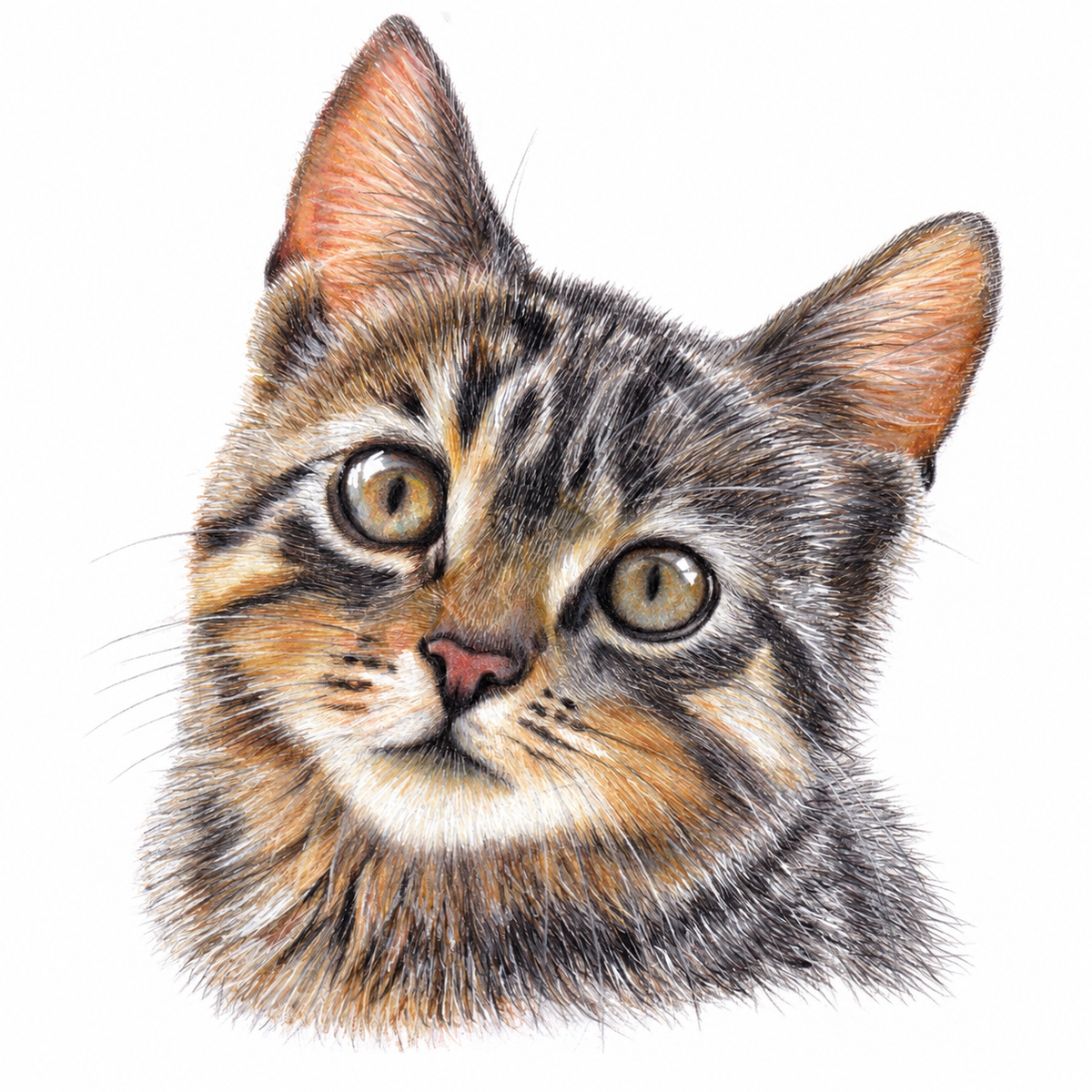 Deborah Dowie Dusty tabby cat greeting card featuring a detailed tabby portrait with a sweet inquisitive expression