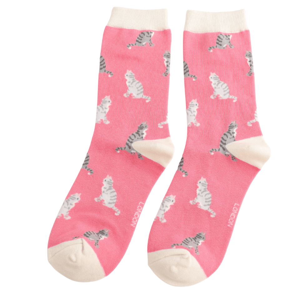 Cat Socks and Clothing