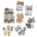 Pintietie 3D Cat Sticker Puzzle blind box range showing six collectable cat models including Ragdoll, Tuxedo, Ginger, Calico and Tabby cats
