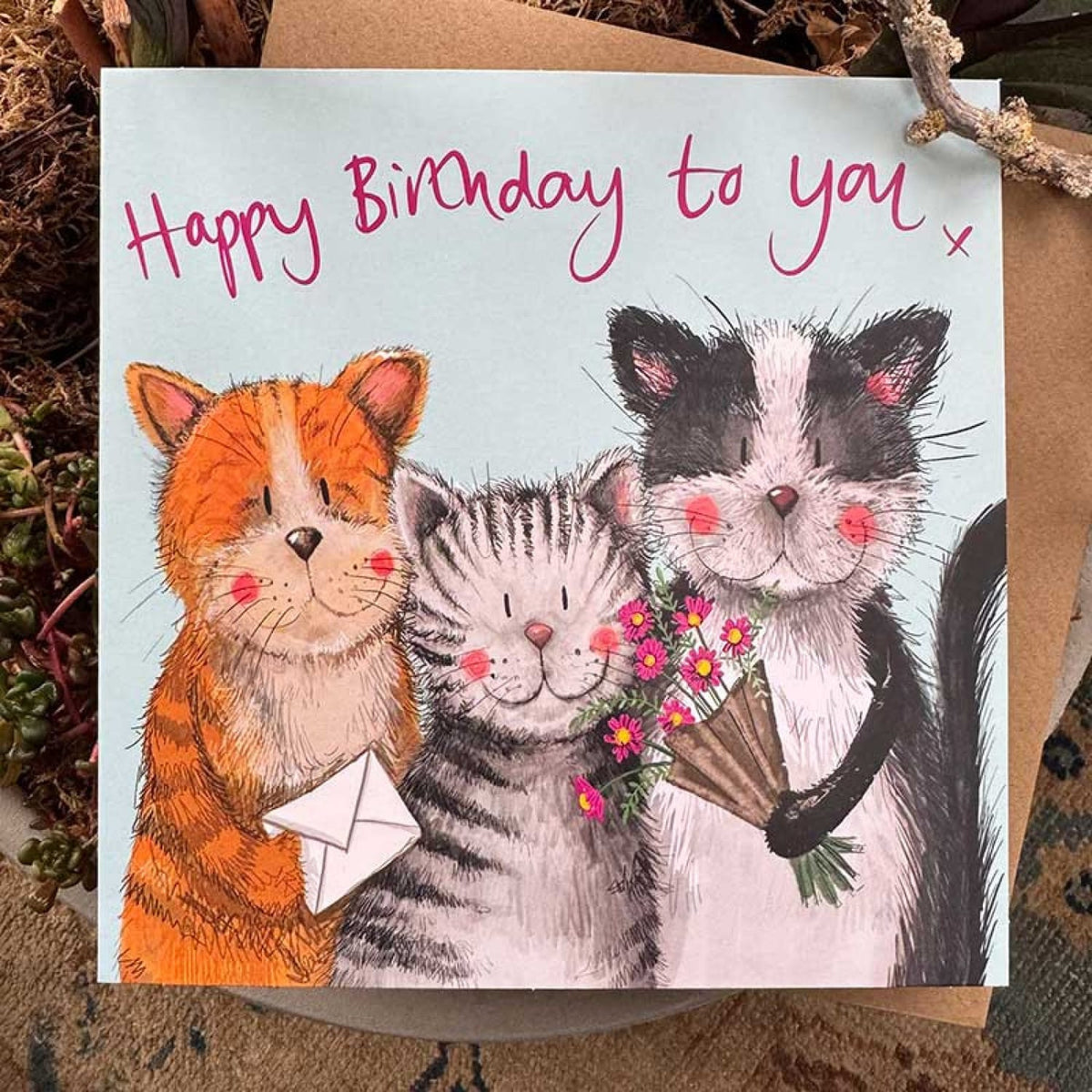 Alex Clark Classic Square Birthday Greetings card featuring three cats with flowers and an envelope and Happy Birthday to you message