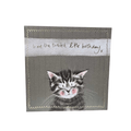 Alex Clark Little Sparkles birthday card featuring a rosy-cheeked tabby kitten, gold foil border and sweetest little birthday message.