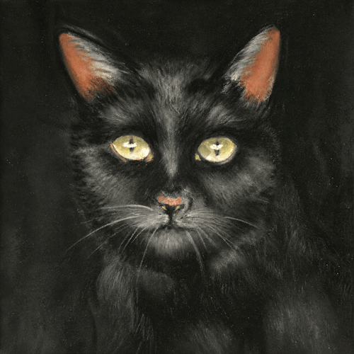 Alexandra Lavizzari Blending In greeting card featuring an atmospheric black cat portrait against a dark background