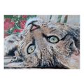 Ann March "A Place in the Sun" greeting card featuring a relaxed tabby cat with green eyes lying in a sunny spot