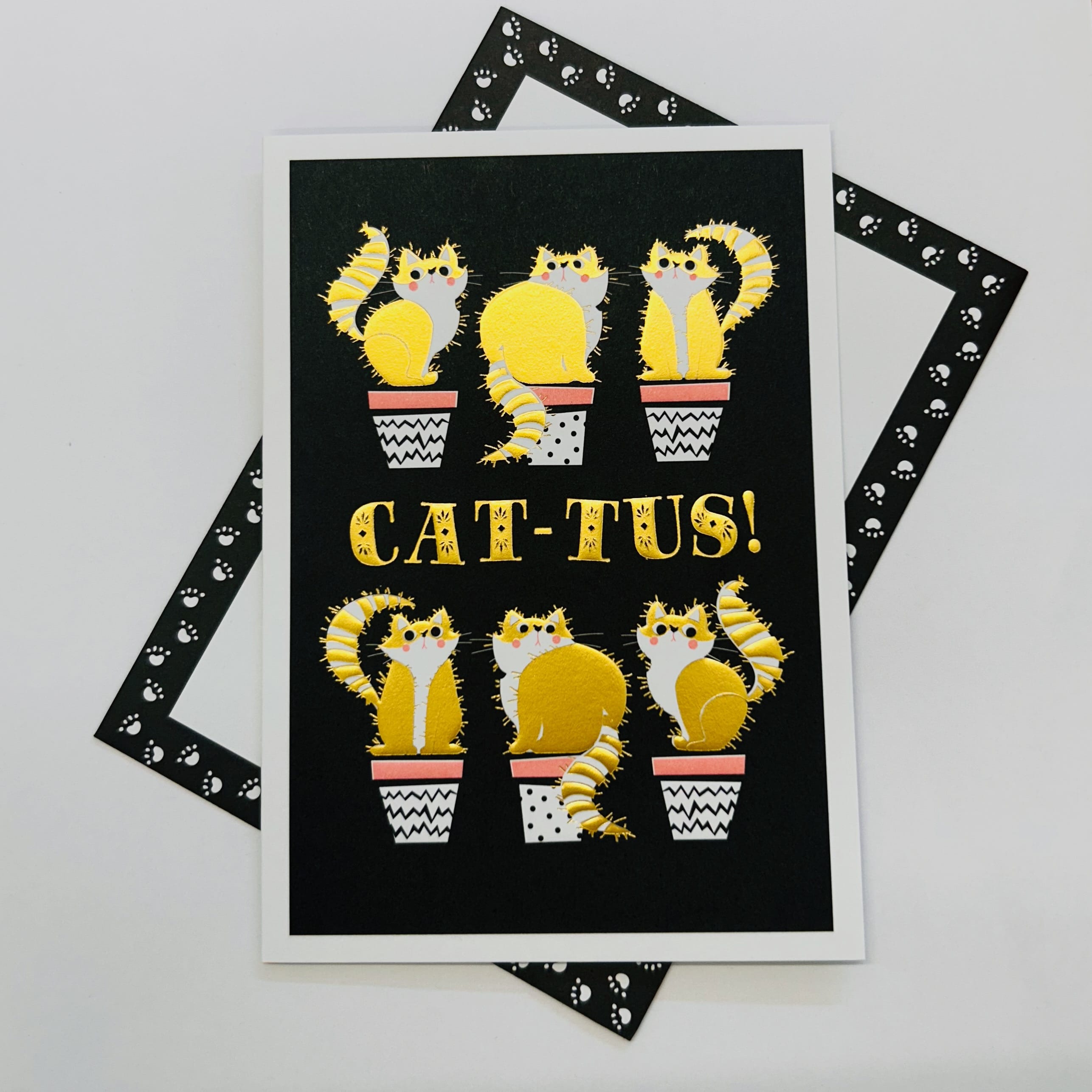 Art File Cat-Tus any occasion cat greetings card featuring six cats disguised as cacti in plant pots with gold-coloured accents and embossed details on a black background.
