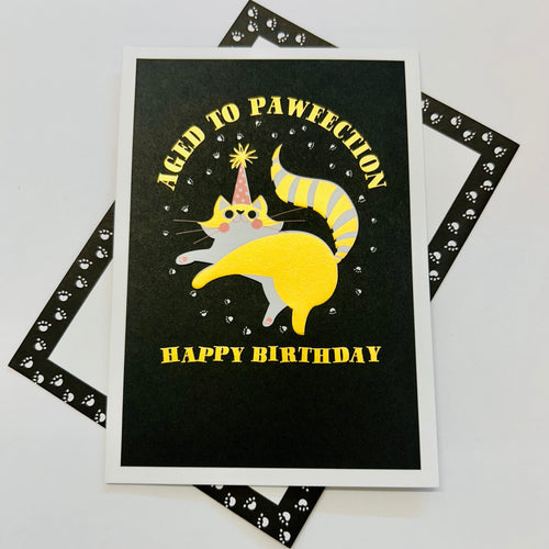 Art File Aged to Pawfection cat birthday card featuring a playful party cat with gold-coloured accents and embossed details on a black background.