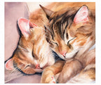 Marie Brown Fine Art Cats 2027 Wall Calendar