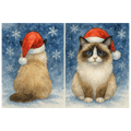 Double sided Ragdoll Cat Christmas Card showing front and rear views of a fluffy blue eyed Ragdoll wearing a red Santa hat in the snow