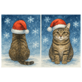 Double sided Tortoiseshell Cat Christmas Card showing front and rear views of a tortie cat wearing a red Santa hat in the snow