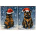 Double sided Tortoiseshell Cat Christmas Card showing front and rear views of a tortie cat wearing a red Santa hat in the snow