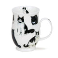 Dunoon Cats Black & White Suffolk Fine Bone China mug by Jane Fern featuring detailed black and tuxedo cat illustrations on a white 310ml mug