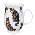 Dunoon Cats Tabby Suffolk Fine Bone China mug featuring detailed striped and fluffy tabby cat illustrations around an elegant white 310ml mug