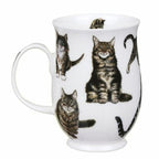Dunoon Cats Tabby Suffolk Fine Bone China mug featuring detailed striped and fluffy tabby cat illustrations around an elegant white 310ml mug