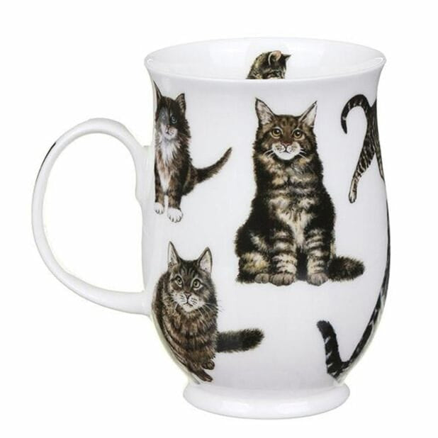 Dunoon Cats Tabby Suffolk Fine Bone China mug featuring detailed striped and fluffy tabby cat illustrations around an elegant white 310ml mug
