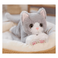 Large grey and white fluffy cat teddy toy with oversized sparkling eyes, pink paw pads and soft plush fur lying on a cosy cushion, measuring 53cm.
