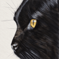 Gina Suarez Peel Midnight black cat greeting card featuring a close-up portrait of a black cat with a striking golden eye