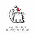 Hayley Trampenau "May Your Days Be Hairy & Bright" cat Christmas card featuring a fluffy cat in a red Santa hat