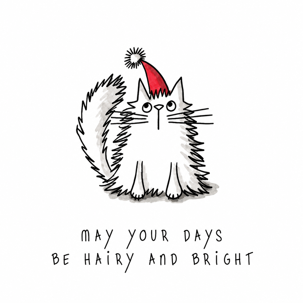 Hayley Trampenau "May Your Days Be Hairy & Bright" cat Christmas card featuring a fluffy cat in a red Santa hat