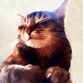 Helen White The Cat that got the Cream greeting card featuring a contented tabby cat with eyes closed and a wonderfully satisfied expression
