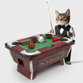 Cat Pool Table Fun Cat Kitten Scratcher