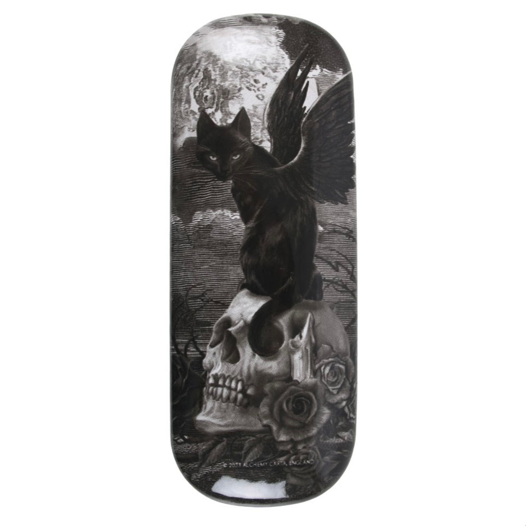 Nine Lives of Poe Protective Glasses Case by Alchemy