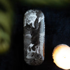 Nine Lives of Poe Protective Glasses Case by Alchemy