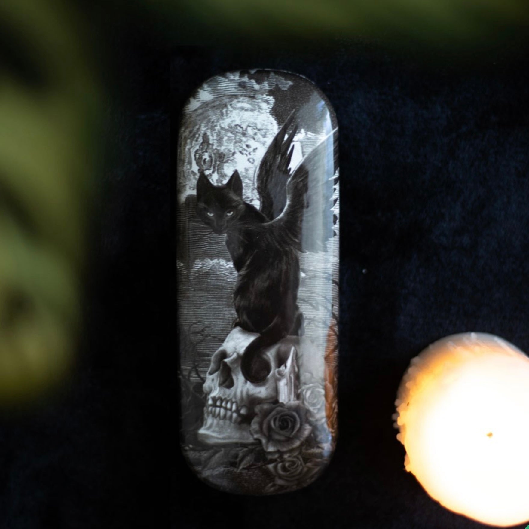 Nine Lives of Poe Protective Glasses Case by Alchemy