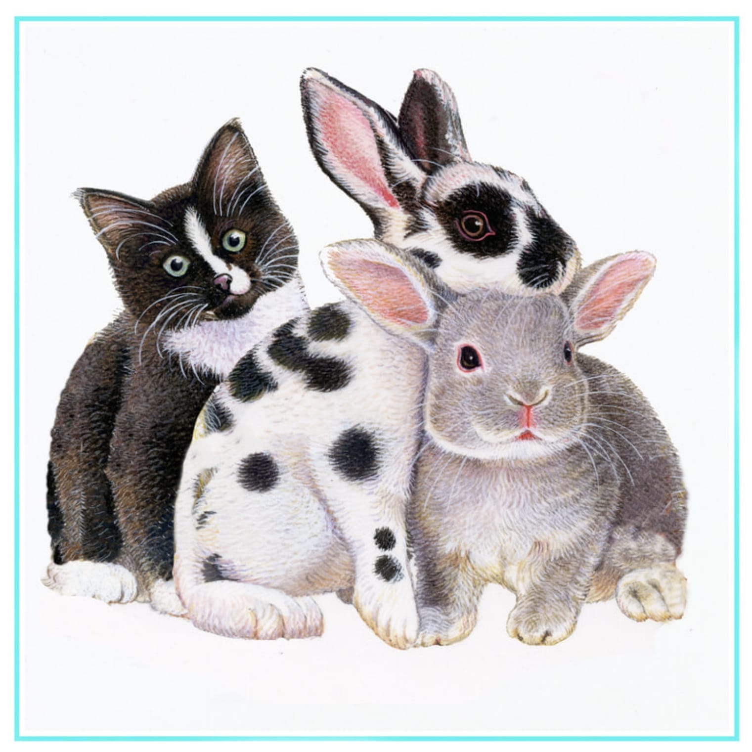 Richard Partis All Cuddled Up Cat & Bunnies Greetings Card – Cat World ...