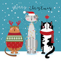 Three Cute Cats Christmas Card - Merry Christmas