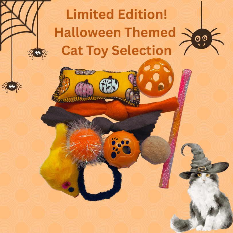 Limited-edition Halloween selection of 10 cat toys featuring a handmade pumpkin-print catnip pillow, silvervine knots, colourful balls, toy mouse and spooky surprises.