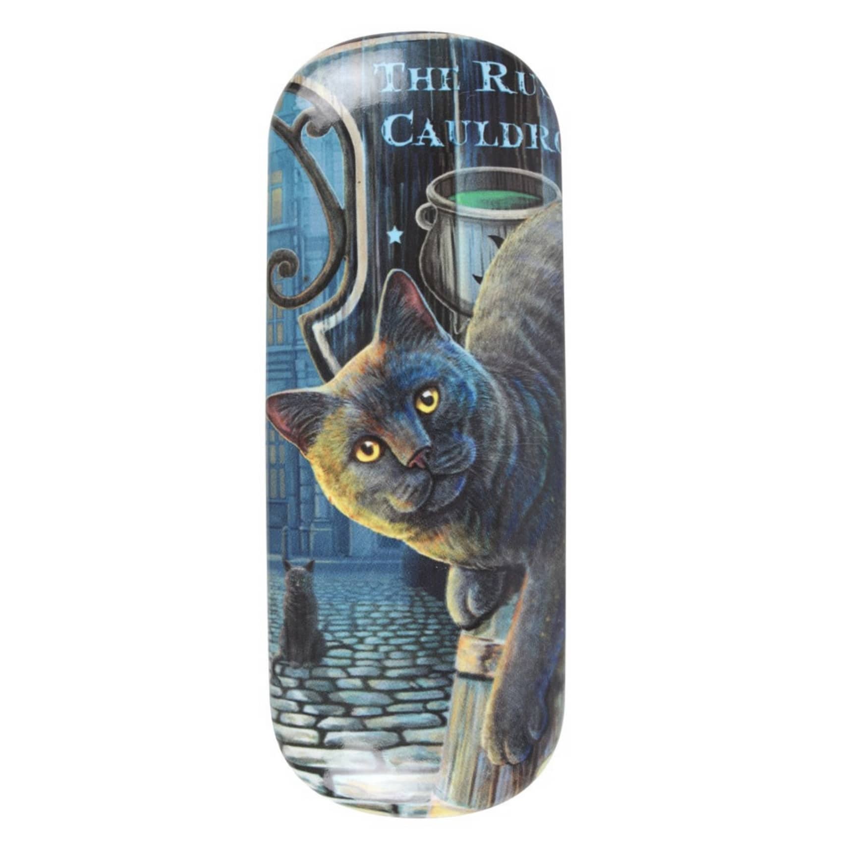 Lisa Parker Rusty Cauldron hard glasses case featuring a curious black cat outside the magical Rusty Cauldron tavern.