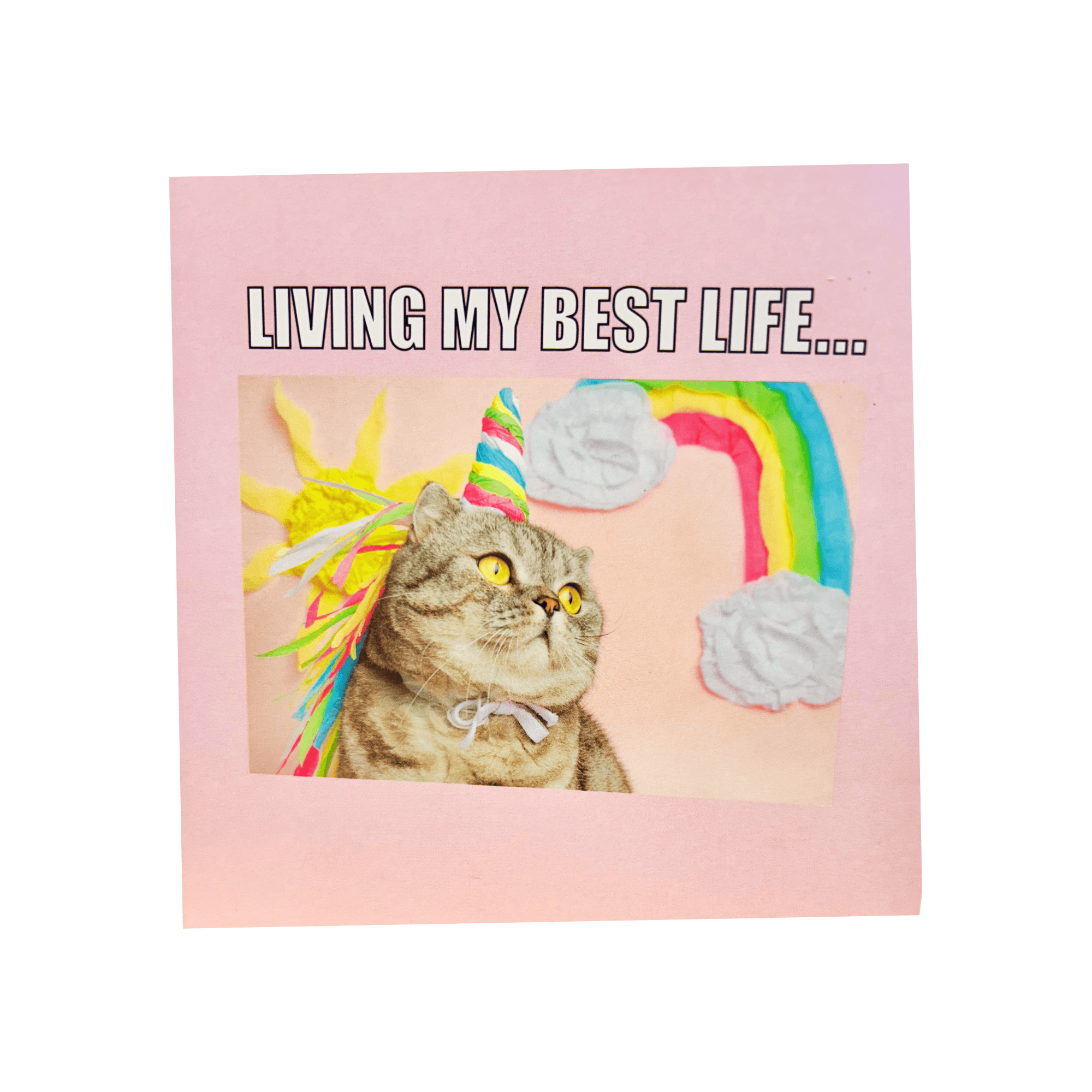 Living My Best Life funny cat greetings card featuring a tabby cat wearing a colourful party hat with rainbow artwork on a pink background