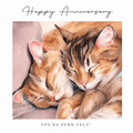 Marie Brown Ezou and Dayelle anniversary card featuring two cats cuddled together with Happy Anniversary and You’re Purr-fect messages