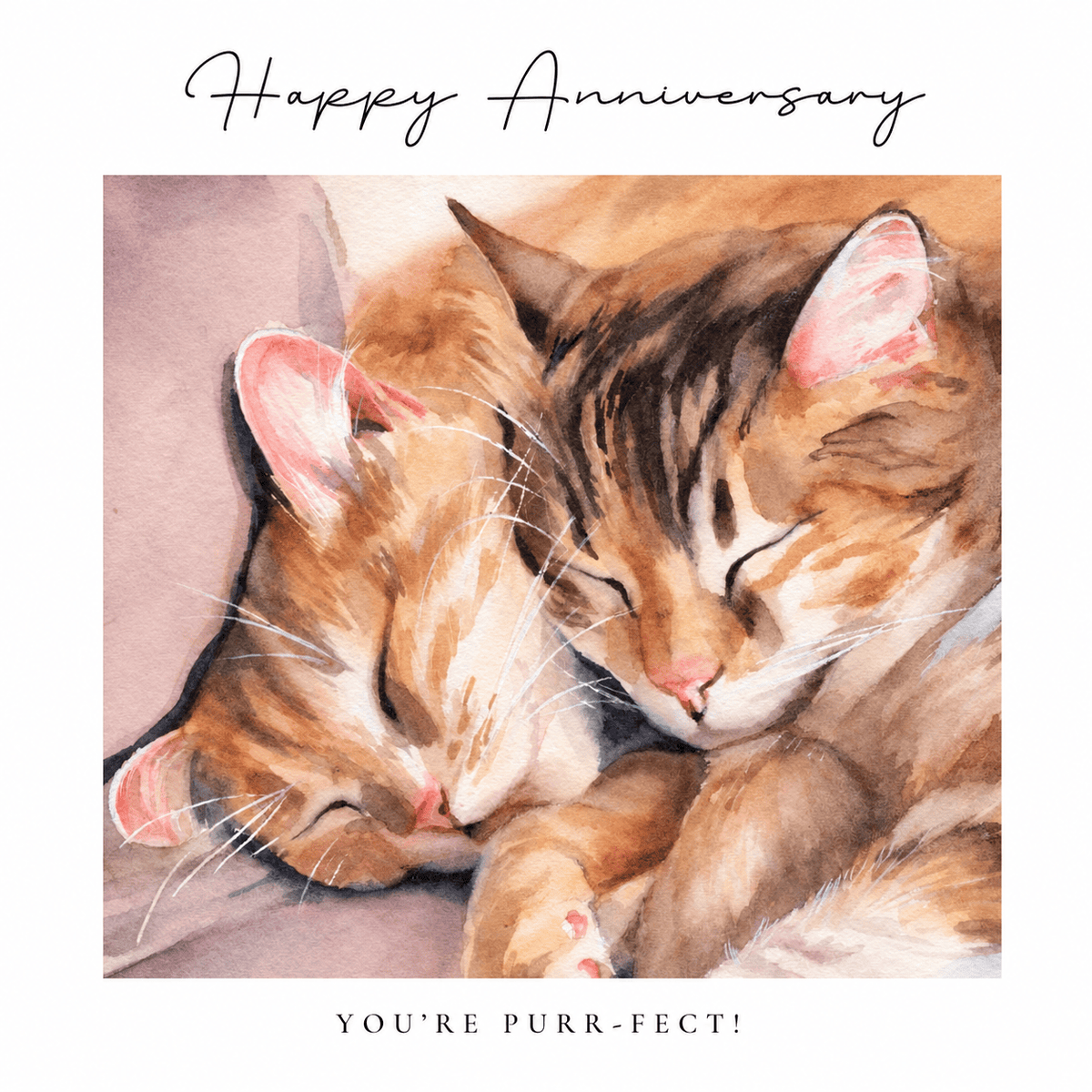 Marie Brown Ezou and Dayelle anniversary card featuring two cats cuddled together with Happy Anniversary and You’re Purr-fect messages