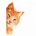 Marie Brown Ezou ginger cat portrait rectangular greeting card featuring a detailed ginger cat illustration