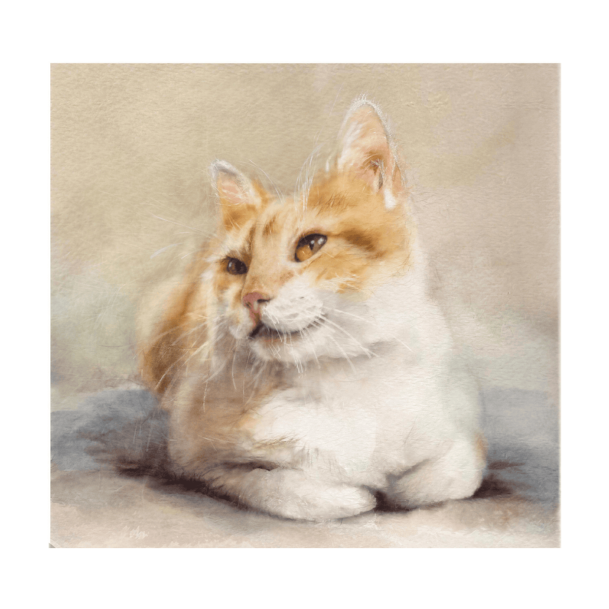 Marie Brown Greetings card showing a  soft-focus painted portrait of a ginger and white cat sitting against a muted beige background, shown within a white border.