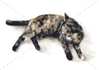 Pepper Cat watercolour cat artwork by Marie Brown – April calendar image