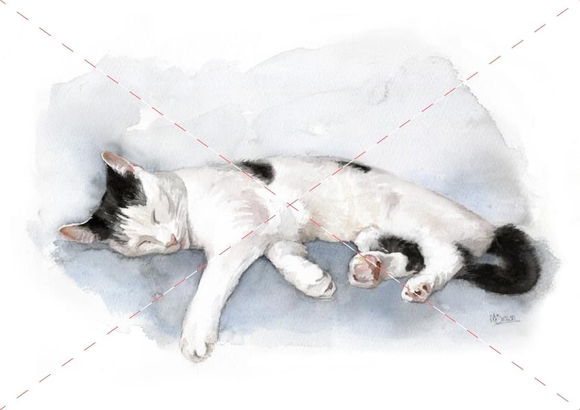 Luna Cat watercolour cat artwork by Marie Brown – August calendar image