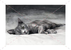 Night Watcher Cat watercolour cat artwork by Marie Brown – December calendar image