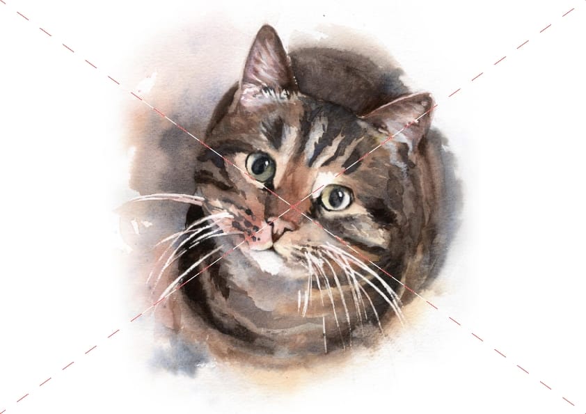 Woody Cat watercolour cat artwork by Marie Brown – July calendar image