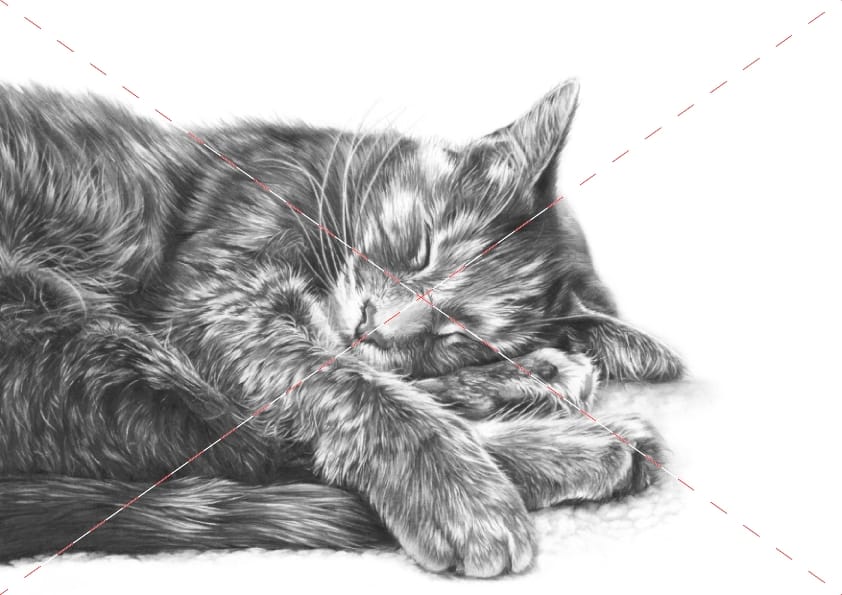 Maggie Cat watercolour cat artwork by Marie Brown – June calendar image