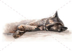Fudge Cat watercolour cat artwork by Marie Brown – November calendar image