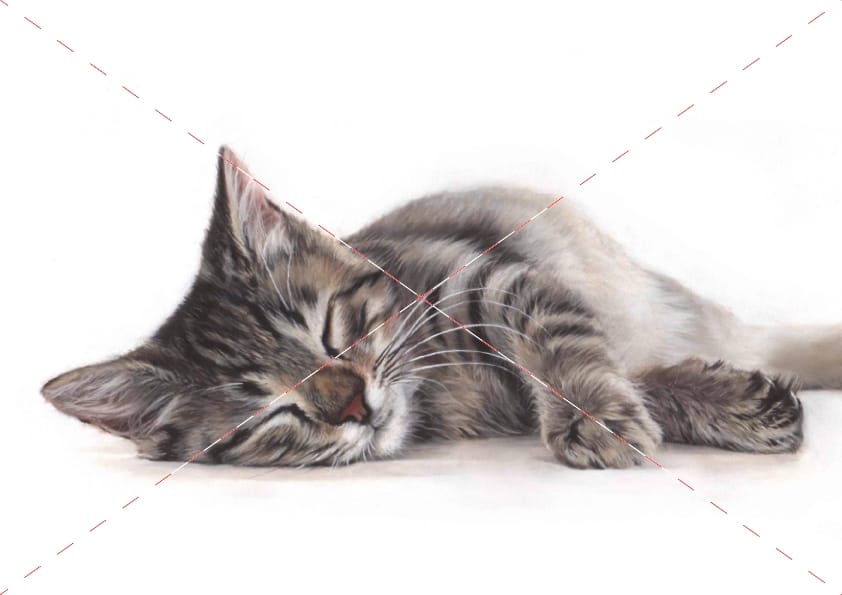 Sleeping Tabby Cat watercolour cat artwork by Marie Brown – September calendar image