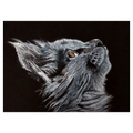 Mark Mannering "Me Please" Cat Greeting Card