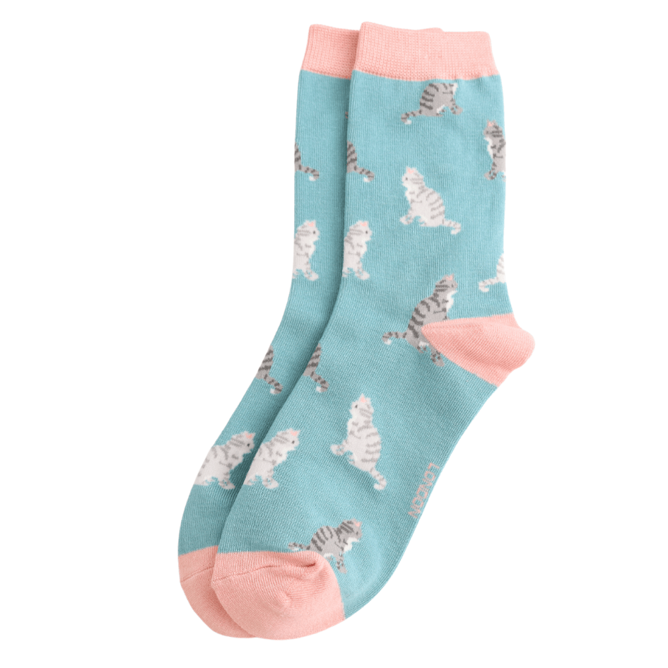 Pair of Miss Sparrow duck egg bamboo socks featuring grey and white tabby cats with blush pink cuffs, heels and toes